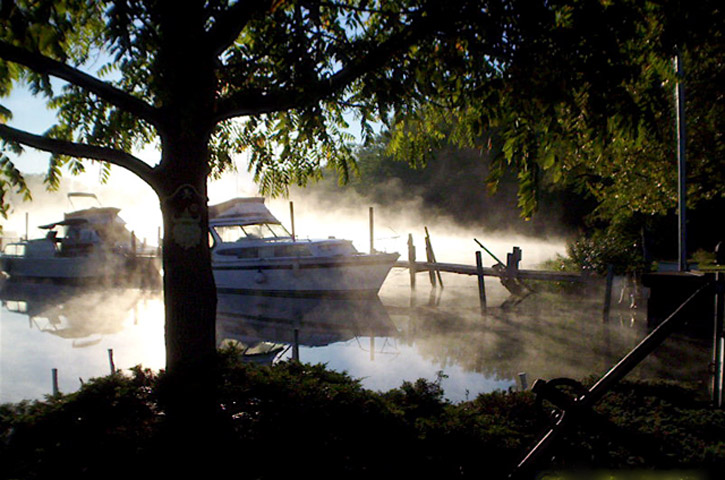 Foggy Morning