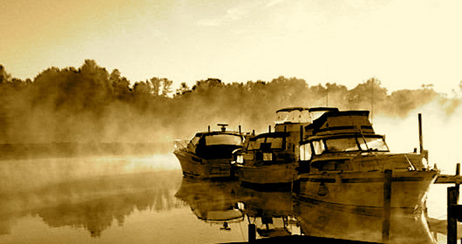 Ghost Ships of the Cove